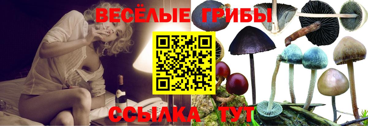 Гусь-Хрустальный  Галлюциногенные грибы мицелий  Вход с VPN 