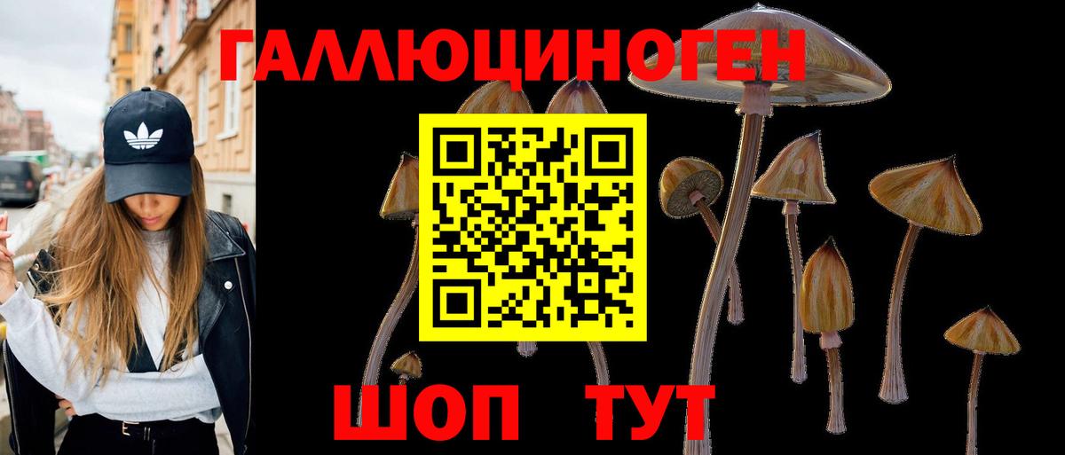 Псилоцибиновые грибы Magic Shrooms Гусь-Хрустальный